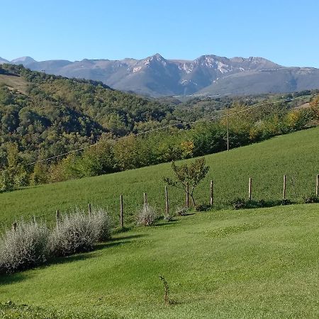 Appartamento Bel Salino Macerata Bagian luar foto